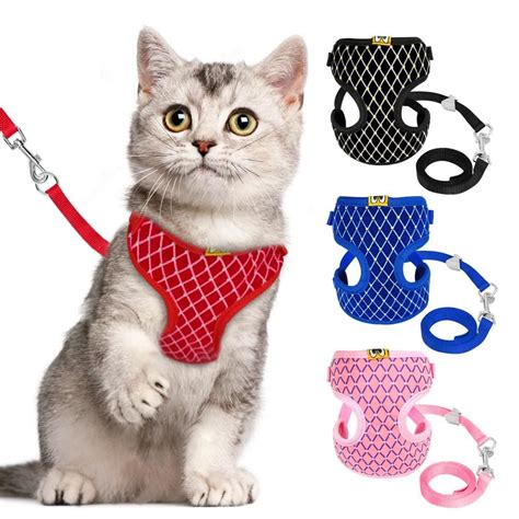 celine cat collar|Cat Harnesses collars & more .